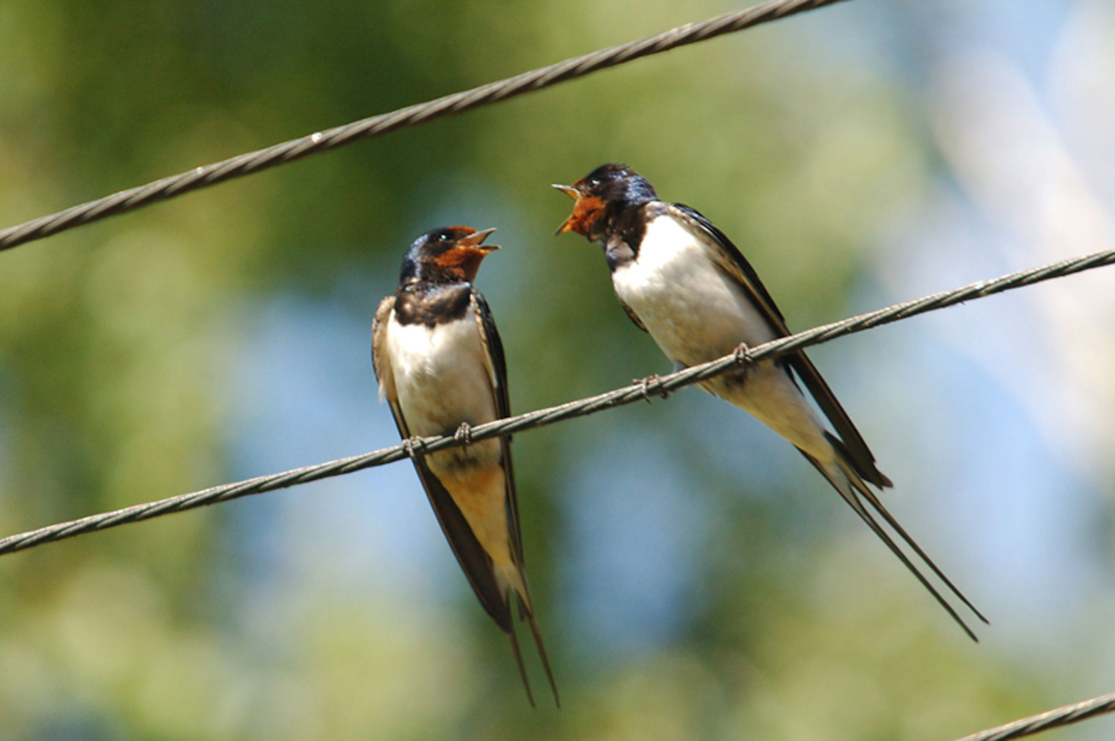 srebrny-klon-pensjonat-kaszuby-salon-10